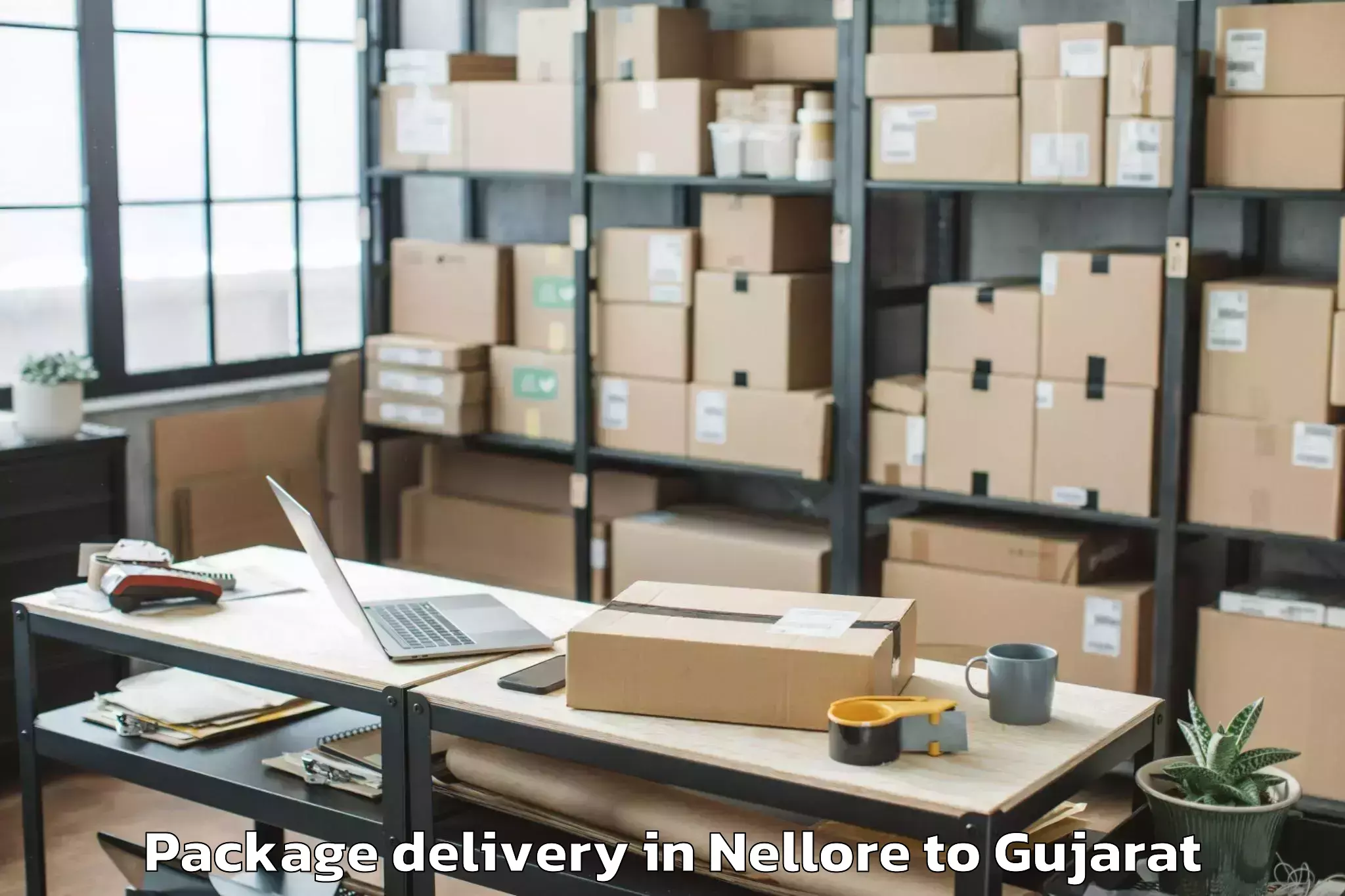 Book Nellore to Abhilashi University Ahmedabad Package Delivery Online